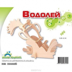 Дерев'яний конструктор "Водолій" (З011)