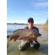 Методный пеллетс, флэт метод микс Кукуруза-Тигровый орех (Corn-Tiger Nut) Carp Drive 5 в 1 (Склад -Y-)